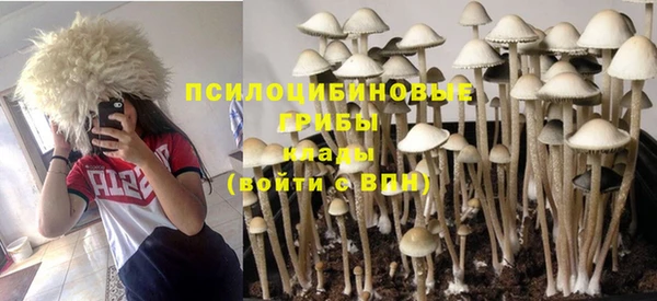 мет Алзамай