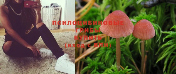 амфетамин Алексеевка