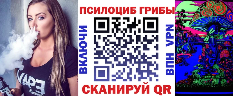 МЕГА вход  Сураж  Псилоцибиновые грибы Psilocybe 